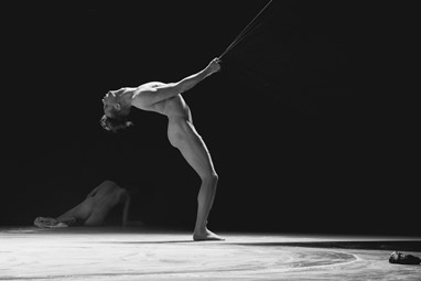 Pântano ©Leonor Fonseca