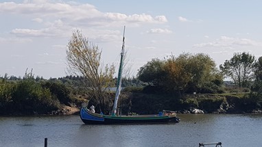 Porto da Palha - Canoa do Tejo