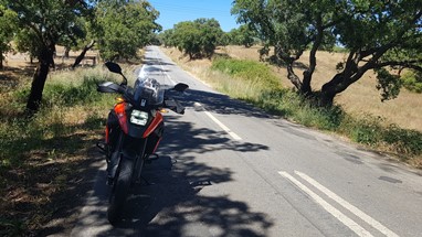 Estrada Nacional 120