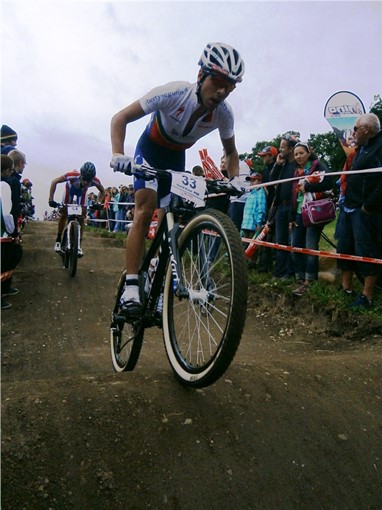 David Rosa