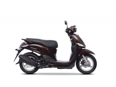 Yamaha D'elight 2014 - Magnetic Bronze