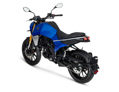 Peugeot PM-01 300