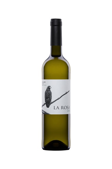 La Rosa branco 2015