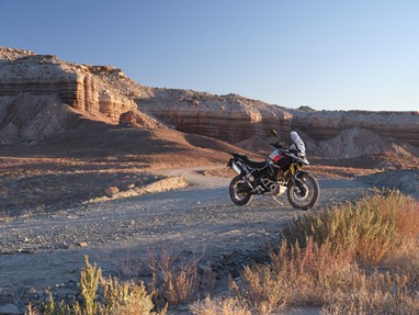 Tiger 900 Rally Pro
