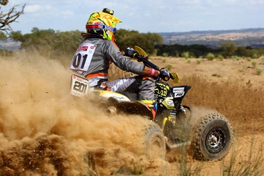 Roberto Borrego