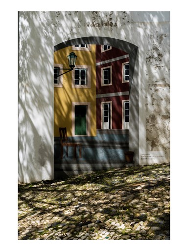 ©Pedro Madeira