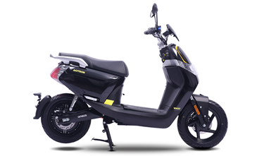 MOTRON WHIZZ