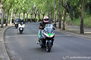 J300, Forza 300 e X-Max 250