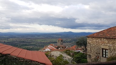 Monsanto - horizonte