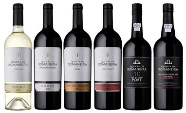 Vinhos em prova