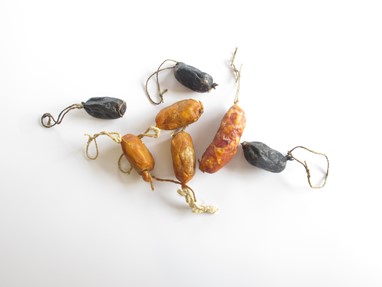 Enchidos de Peixe