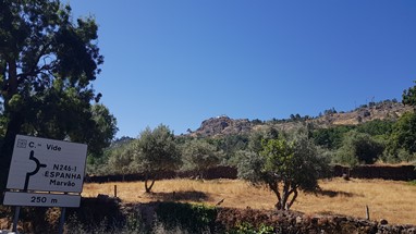 “Resumo” da volta