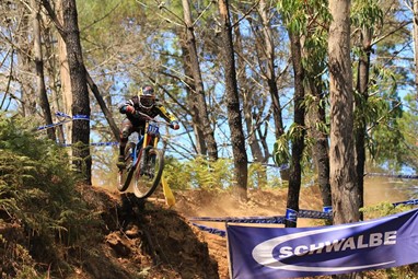Emanuel Pombo