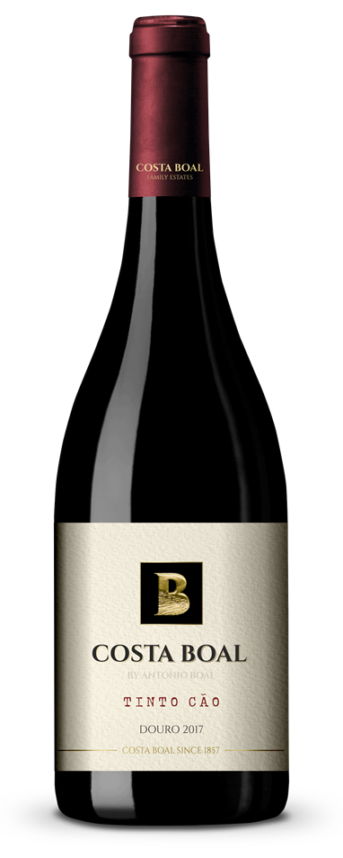 Costa Boal _tinto Cֶão 2017