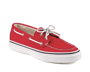 PVP - 69,90€