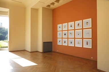©Yto Barrada: Salon Marocain
