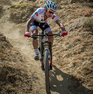 David Rosa