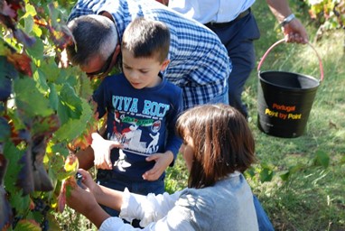 ALOJAMENTO QUINTA DE FIÃES