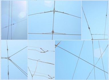 Processo de Criação