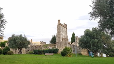 Castelo de Pirescoxe