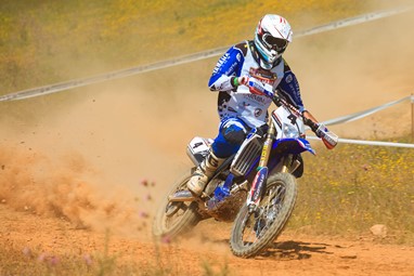 Luis Teixeira