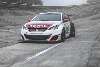 Peugeot 308 Racing Cup