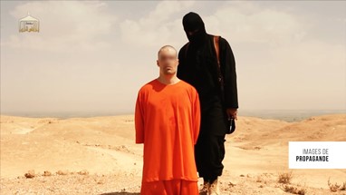 Terror Studios