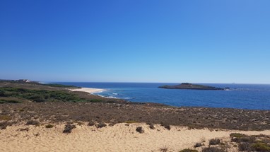 Ilha do Pessegueiro
