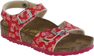 PVP - 59,90€