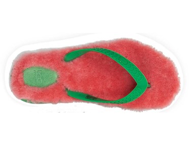 PVP - 54,90€