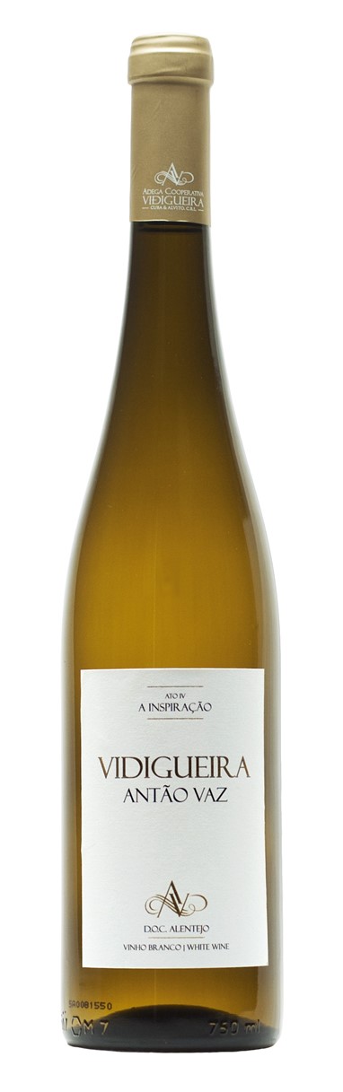 Antão Vaz Branco 2013