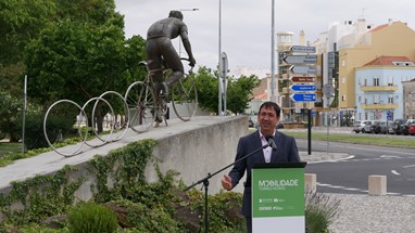 Delmino Pereira, Presidente da UVP-FCP