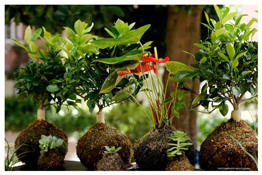 Arquitexturas® - Organização de Eventos