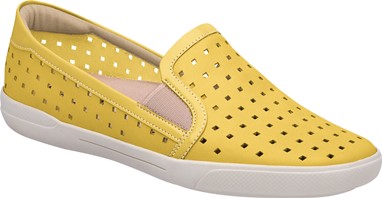 PVP - 49,90€