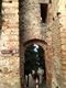 Asolo - La Rocca