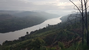 Rio Tejo manhã cedo