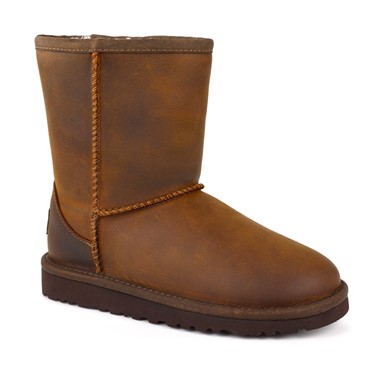 PVP 139,90€
