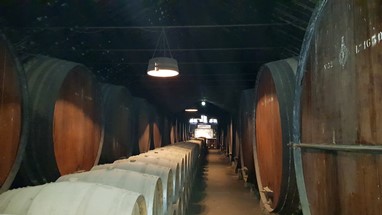 VNAzeitão - JMF - Adega - Pipas de Moscatel (primeiros meses)