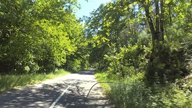 Aqui ainda a vegetação é frondosa