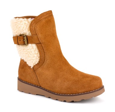 PVP 119,90€