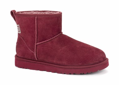 PVP - 189,90€