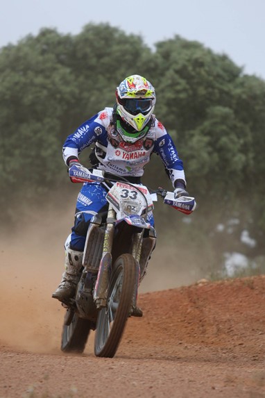 David Ferreira