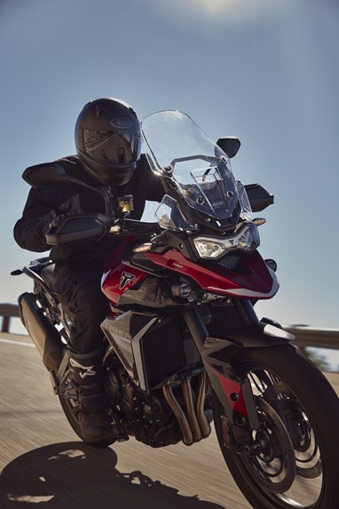 Tiger 900 GT Pro