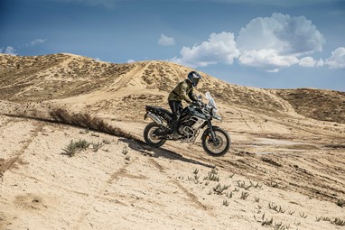 Tiger 800 XCA