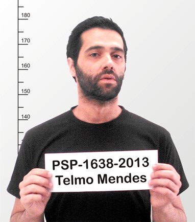 Telmo Mendes