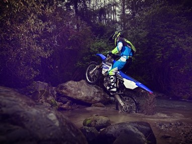 Yamaha WR250F 2015