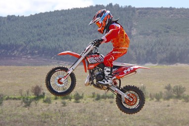 Afonso Gomes