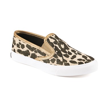 PVP - 64,90€