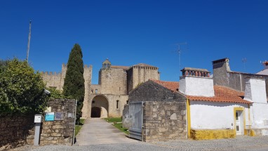 Mosteiro de Flor da Rosa