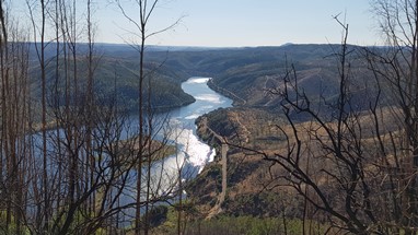 Castelo do Rei Vamba-Tejo rumo à foz